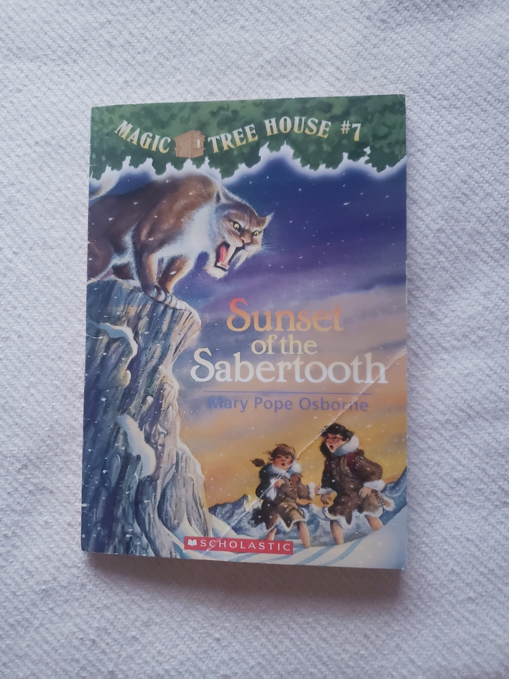 Magic Tree House Books - Picture 6 of 15